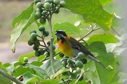 Reina Mora Macho | Reina Mora