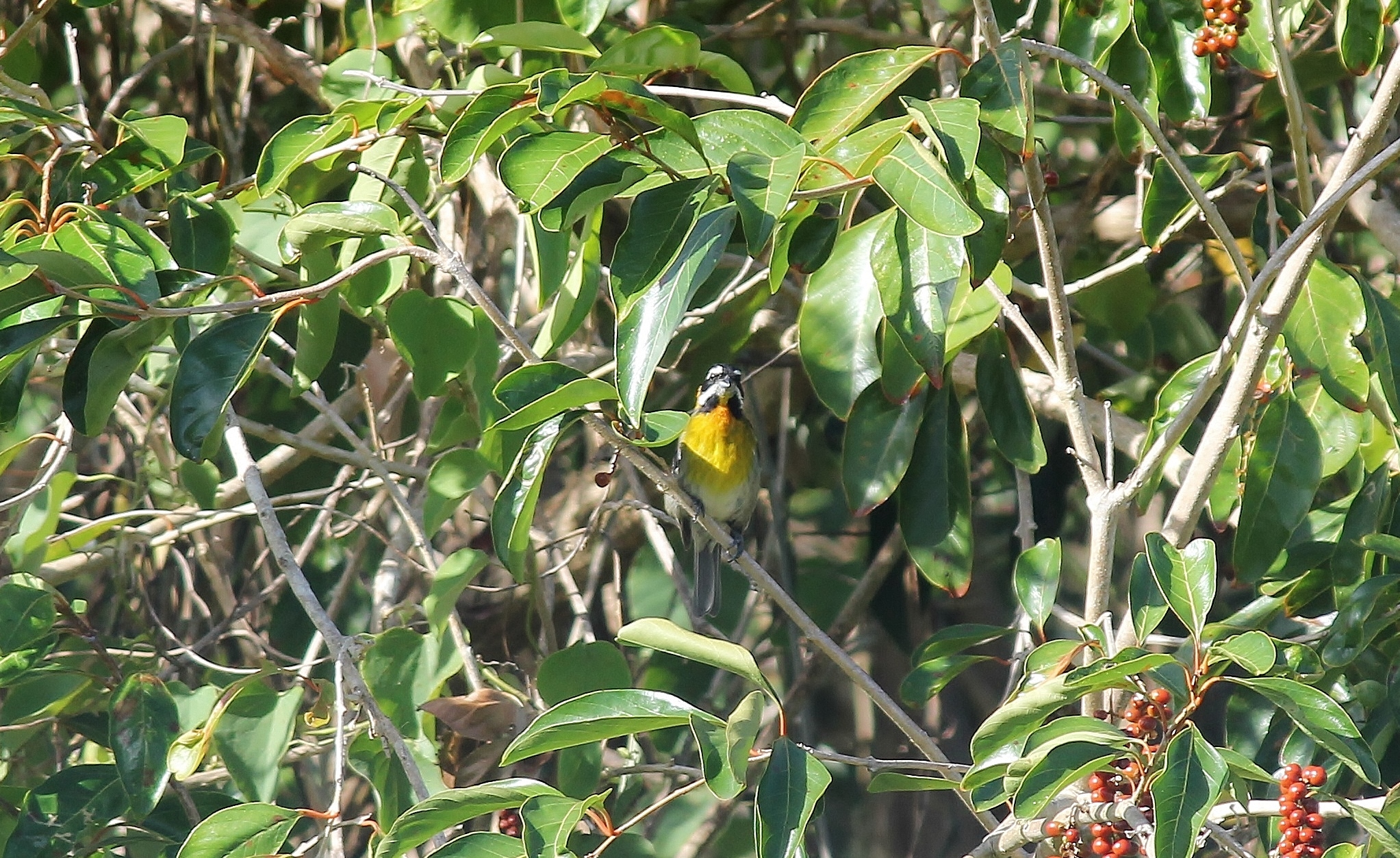 Reina Mora | Reina Mora